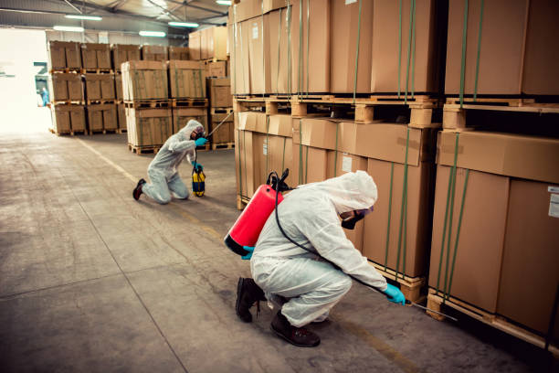 Best Pest Prevention Services  in Hildebran, NC