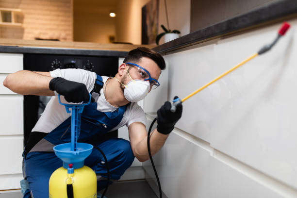 Best Best Pest Control Companies  in Hildebran, NC