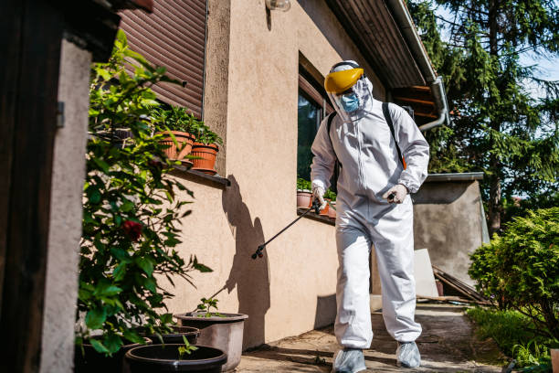 Best Commercial Pest Control Services  in Hildebran, NC