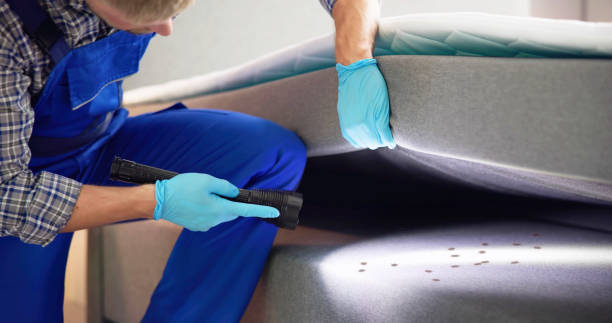 Best Cockroach Control Services  in Hildebran, NC