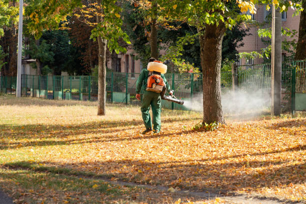 Best Pest Inspection Near Me  in Hildebran, NC
